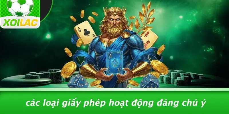 Các Loại Giấy Phép Hoạt Động Đáng Chú Ý