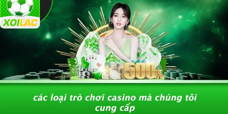 Các Loại Trò Chơi Casino Mà Chúng Tôi Cung Cấp