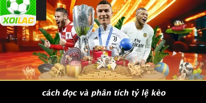 Cách Đọc Và Phân Tích Tỷ Lệ Kèo