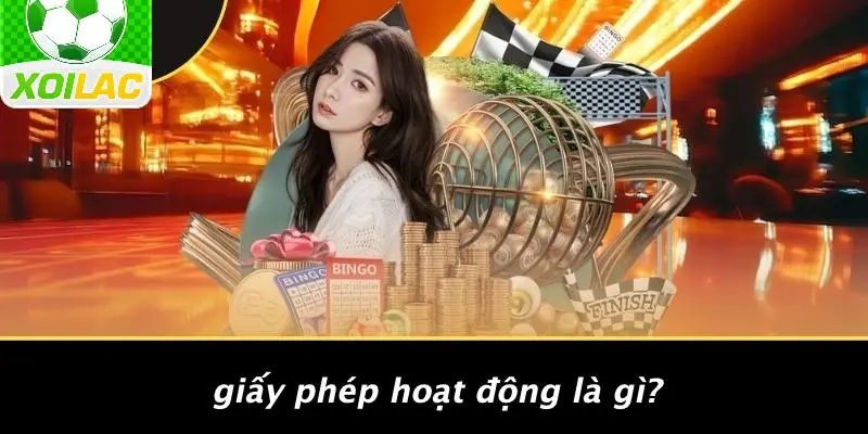 Giấy Phép Hoạt Động Là Gì?