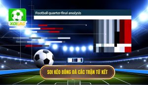 Soi kèo bóng đá các trận tứ kết
