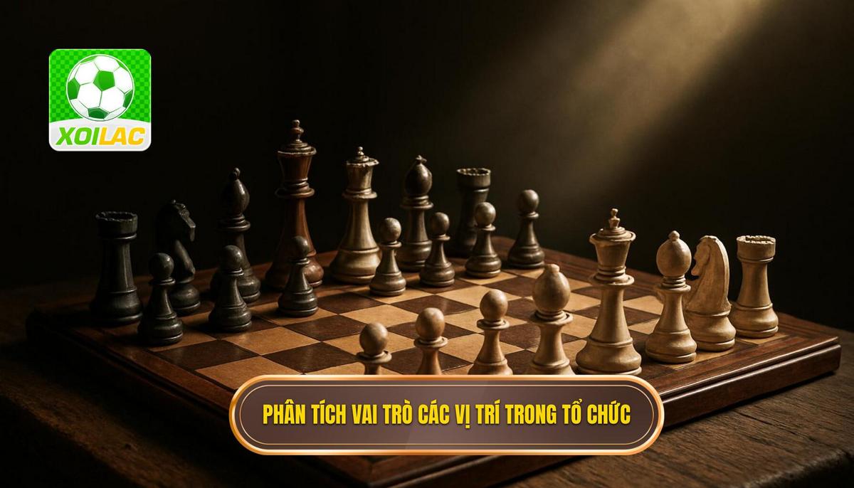 Phân tích chuyên sâu về vai trò từng vị trí