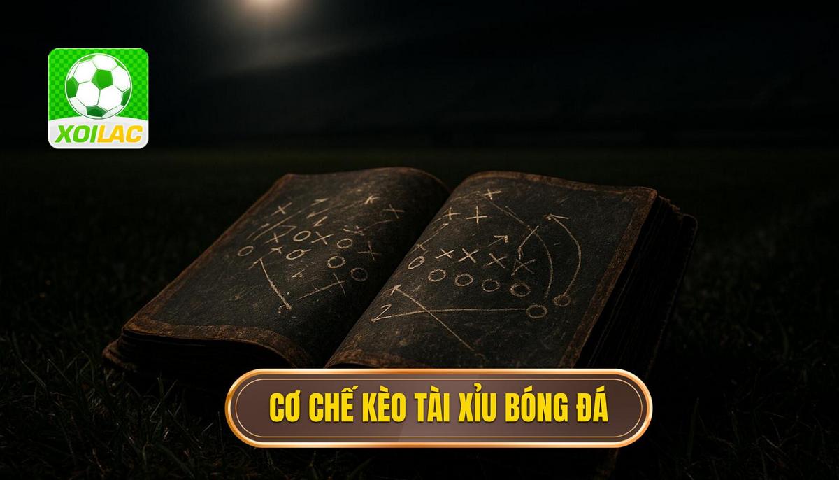 Bản chất và cơ chế vận hành của kèo tài xỉu bóng đá