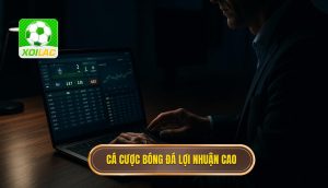 thumb - cá cược bóng đá lợi nhuận cao
