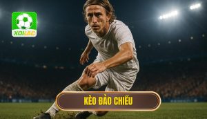 thumb - kèo đảo chiều