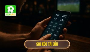 thumb - soi kèo tài xỉu