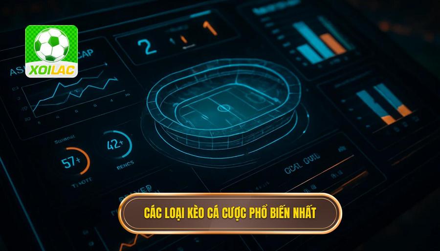 3. Các loại kèo cá cược phổ biến nhất