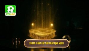 XOILAC_ Đẳng cấp ván cược định mệnh