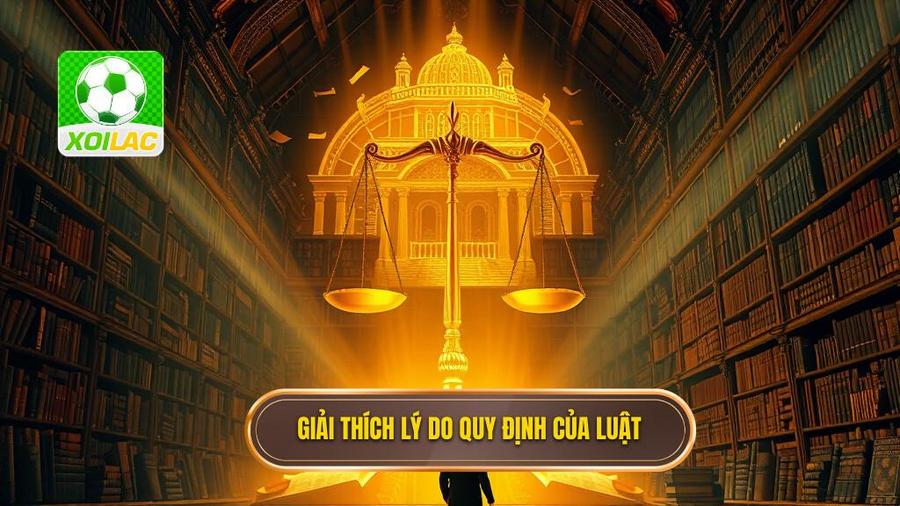 3. Giải thích lý do quy định của luật