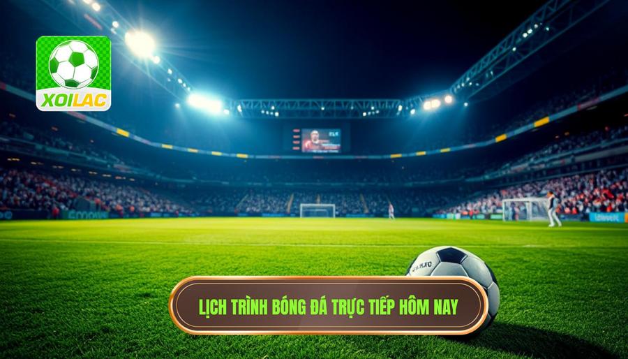 Lịch trình các giải đấu live bóng đá hôm nay cực nóng không thể bỏ lỡ
