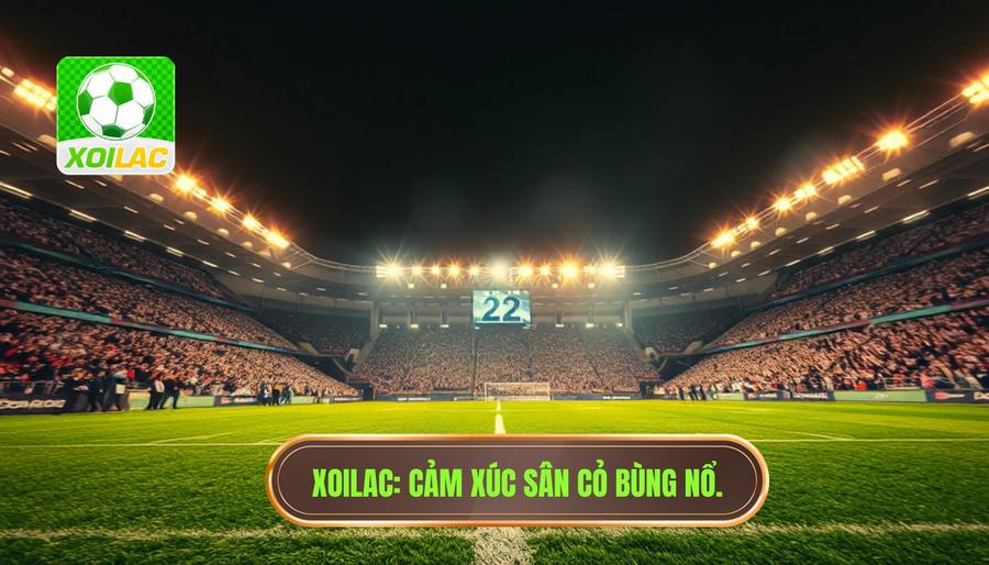 Cảm xúc sân cỏ bùng nổ