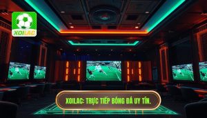 Live trận bóng đá đêm nay