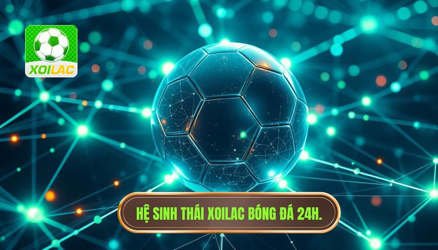 Phân tích đa chiều về hệ sinh thái Xoilac bóng đá 24h Phân tích đa chiều về hệ sinh thái Xoilac bóng đá 24h