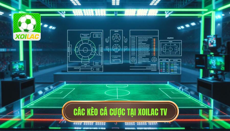Các loại kèo phổ biến trong Xoilac nhận định bóng đá Các loại kèo phổ biến trong Xoilac nhận định bóng đá